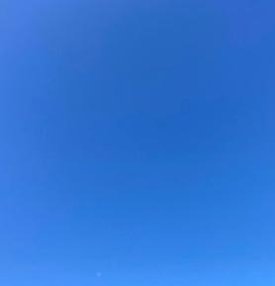 rjbuno's profile picture. 