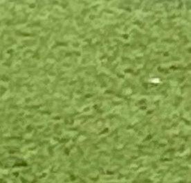 s10_douglas's profile picture. 