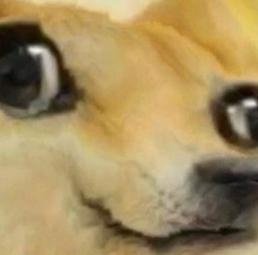 sarakaittim's profile picture. 