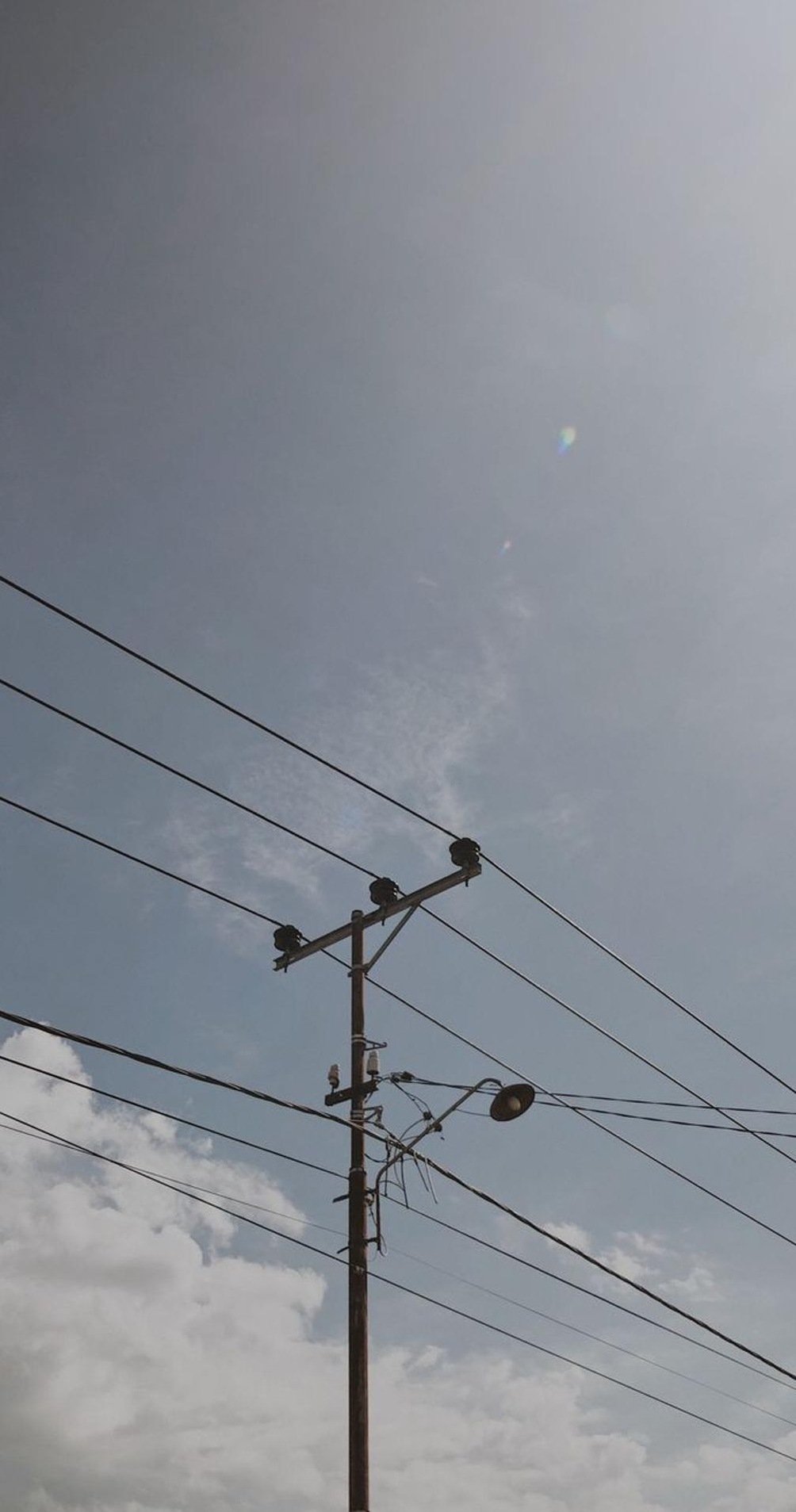 schamesian's profile picture. 