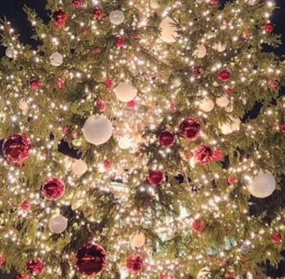 screaminchief's profile picture. 