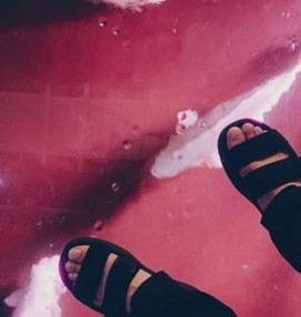 searcy137's profile picture. 