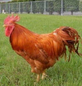 shinhaofficial's profile picture. 