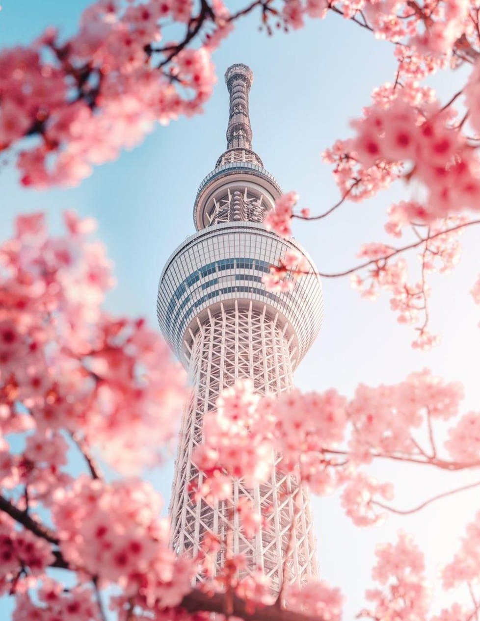 super_max21's profile picture. 