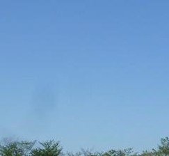 SyLana2102's profile picture. 