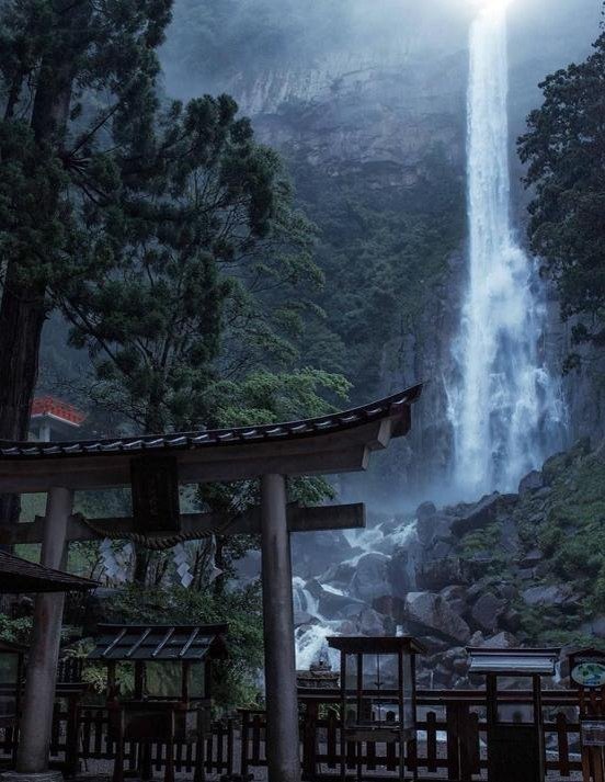 Takukunomuro's profile picture. 