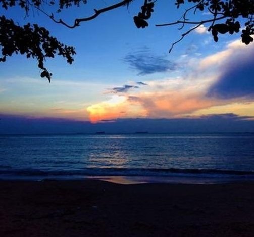 theblueeggpic's profile picture. 