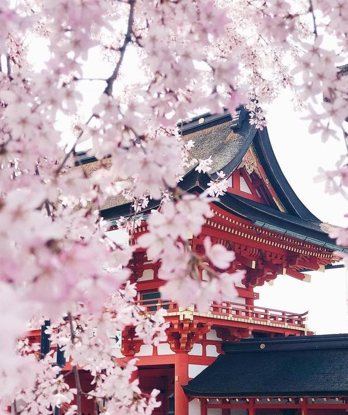 this_is_logic_'s profile picture. 