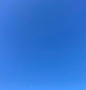 thunderball868's profile picture. 