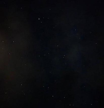 toynut5's profile picture. 