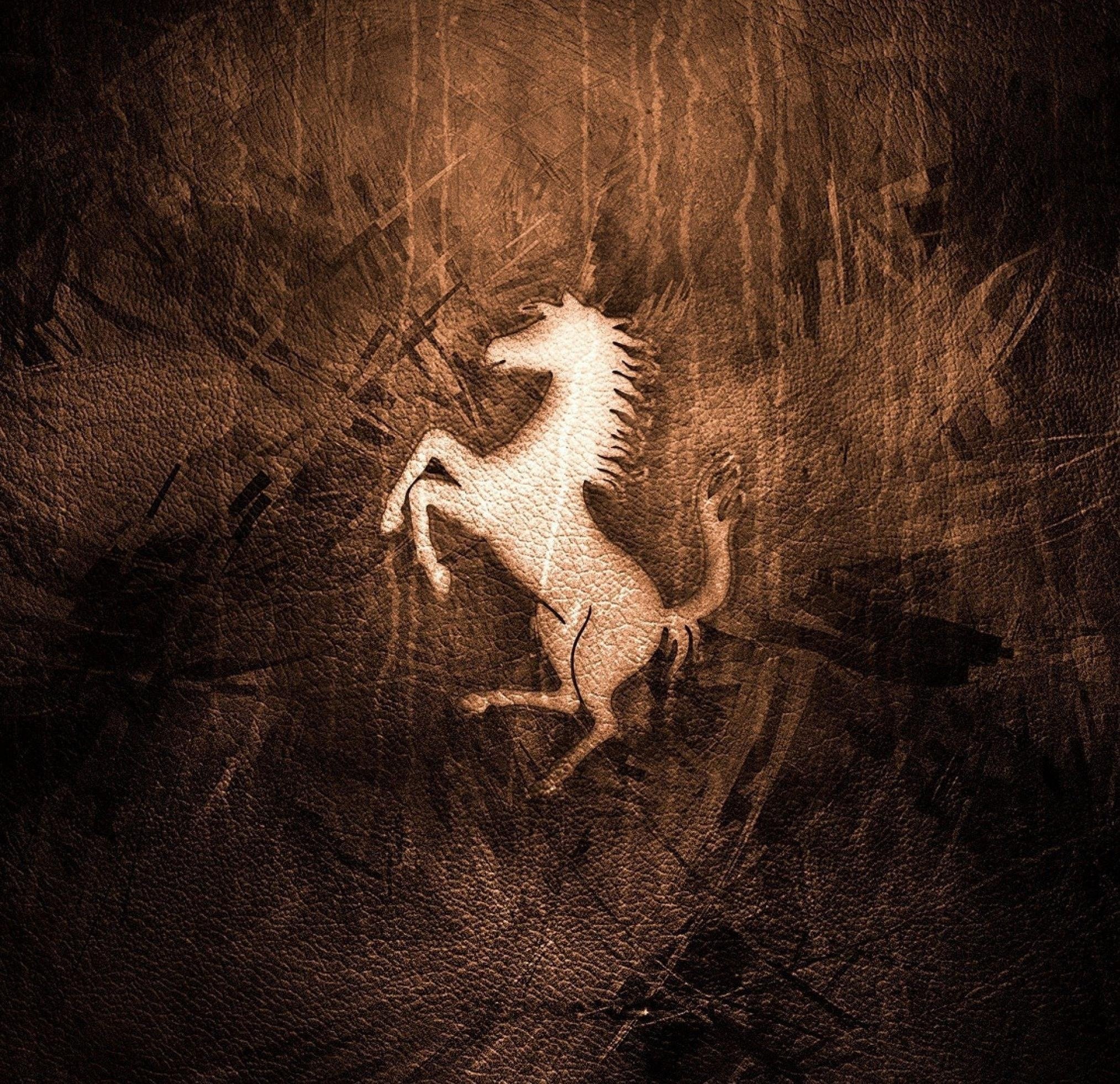 trizategy's profile picture. 