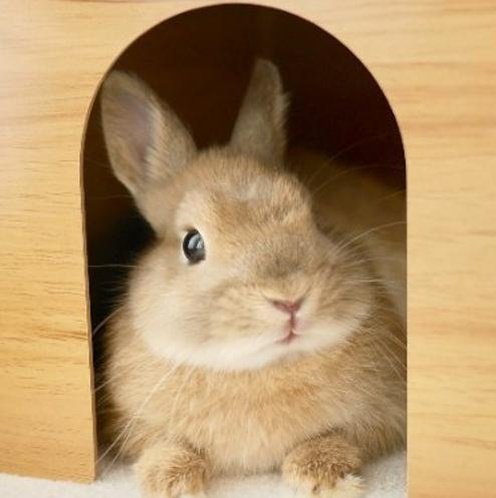 TSIJUNIOR's profile picture. 