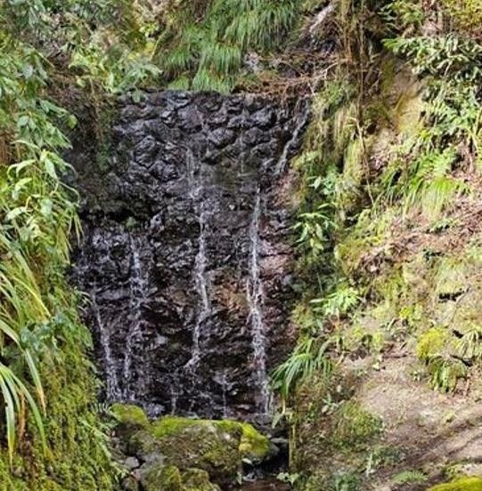 Vickey_Nerdie's profile picture. 