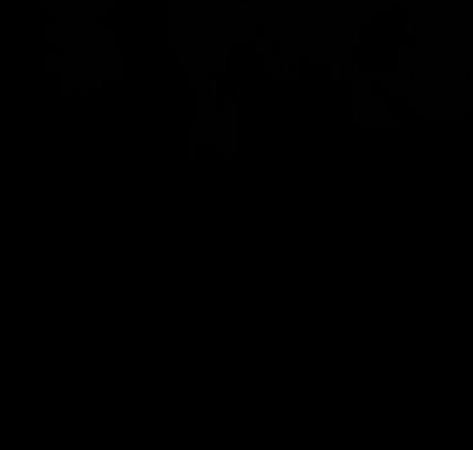 wechols13's profile picture. 