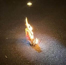 wendymine's profile picture. 