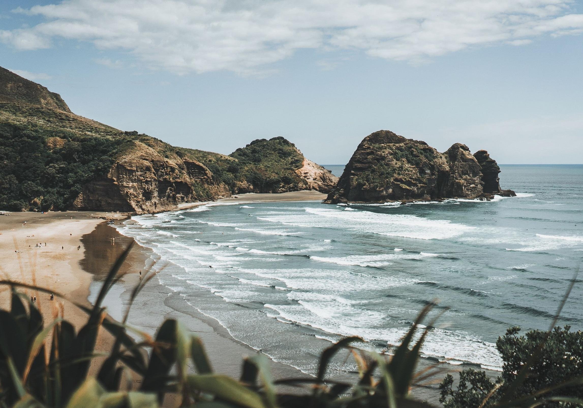 WNYRefugee's profile picture. 