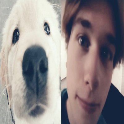 3nablls's profile picture. intp 
#thefutureisteal #ALLCAPS