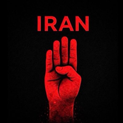 SepehrKaiser's profile picture. 