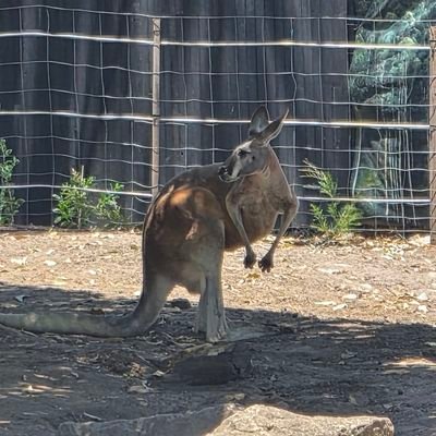 sssontae's profile picture. 돈을 공부하여 경제적 자유를 찾는자

돈과 관련된 정보와 공부후 느낀점들을 기록하며 공유하고 소통해나가겠습니다

제컨텐츠는 하이라이트에 있습니다