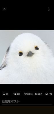 kazurin62978's profile picture. 