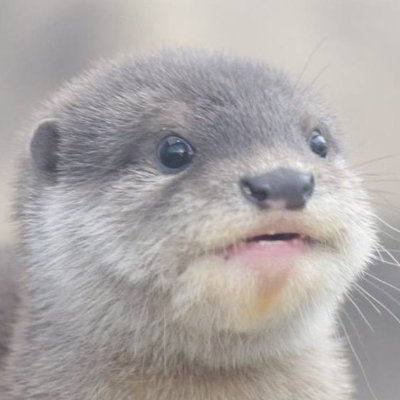 y_zabel_'s profile picture. I'm too weak to let myself be held
-Franz Kafka, Letters to Milena