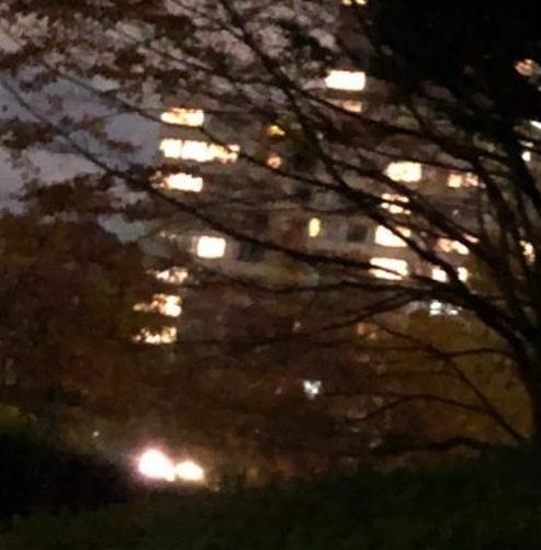 Alalox's profile picture. 