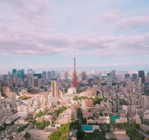 edweinbach's profile picture. 