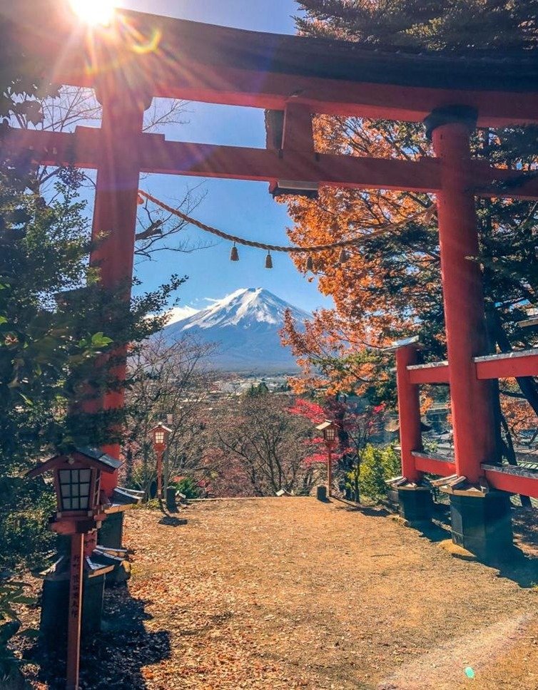 MineDoa99658023's profile picture. 