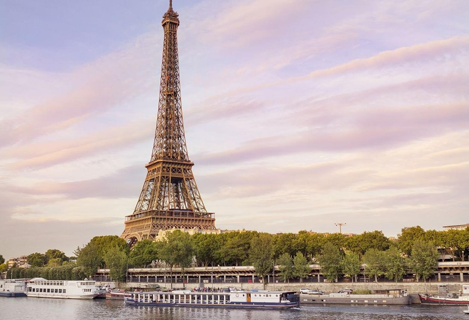 OFFICIALBRIS17's profile picture. 