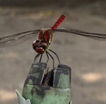 thesee77940's profile picture. 