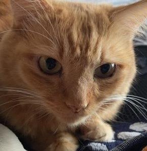 typindongz's profile picture. 