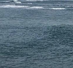 The_Hearach's profile picture. 