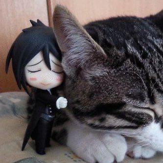 Pjjchmr_32's profile picture. 18⬆️ | etc. | ♡♡