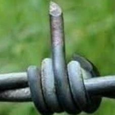 BenonImni41521's profile picture. Ready to bring a smile to people's faces and a spark to their lives! With a passion for connecting with others and making a positive impact, I'm always looking