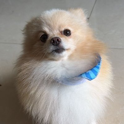 4vitorr's profile picture. 