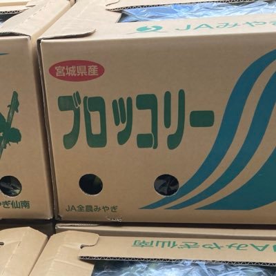 8x_dx8's profile picture. やさぐれクソカス競馬アカウント!8400畳の面積で米を作ってます。 北津留翼選手を応援してます📣