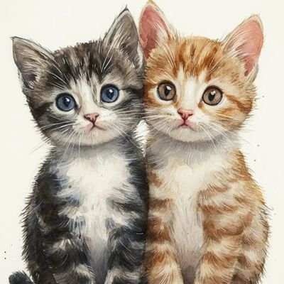 PostofcatsX's profile picture. the perfect account to show your parents when you want a cat 🐈