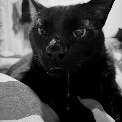 ruby_francoise's profile picture. 