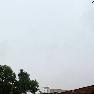 Marli19648Maria's profile picture. 