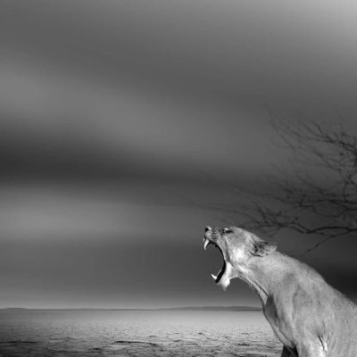 samwritesx's profile picture. tweets about everything.