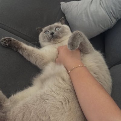 rosemary98qr's profile picture. I’m new here ..peace of mind matter a lot 💕 I'm not a bot and don't waste my time