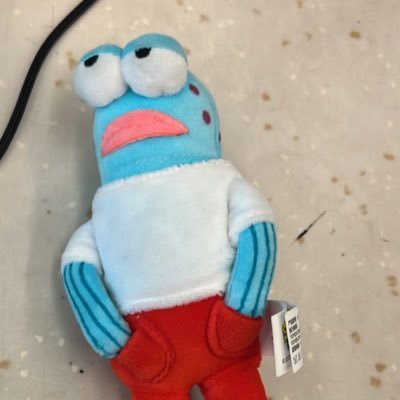 findindoryyy's profile picture. 1312