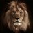 NzalakO58190's profile image