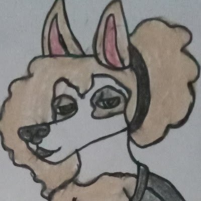 applethepossum's profile picture. traditional artist