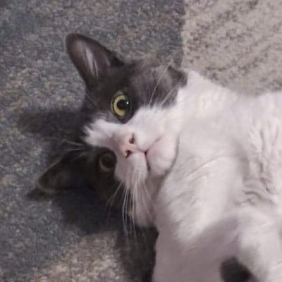 AfonsoWKeys_'s profile picture. | 🇵🇹 |