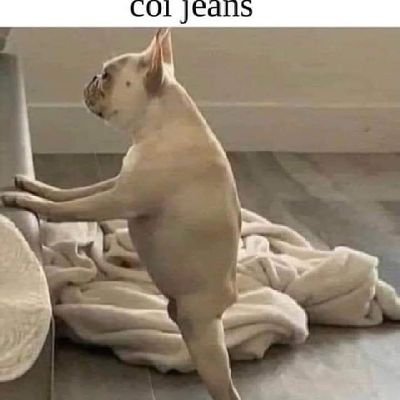 monfretto's profile picture. Forza