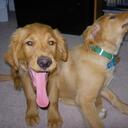 Kate Shipley - @krshipley - Twitter