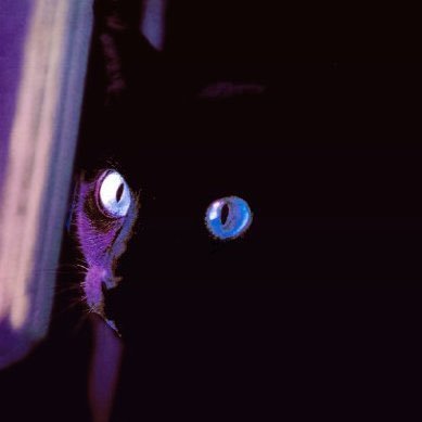 oldmankotaro's profile picture. 