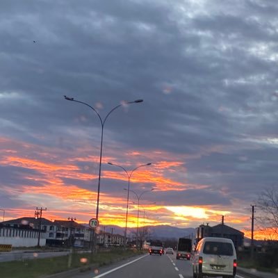 alicanerzincan