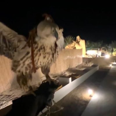 78ihhi's profile picture. 